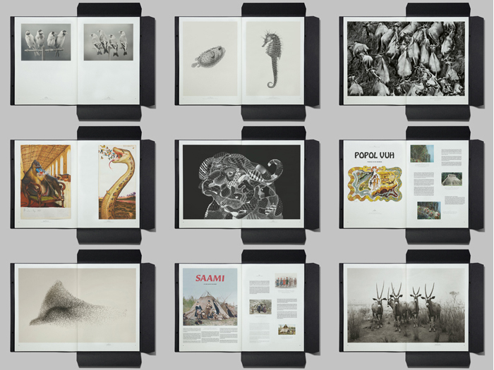 Plethora No.6