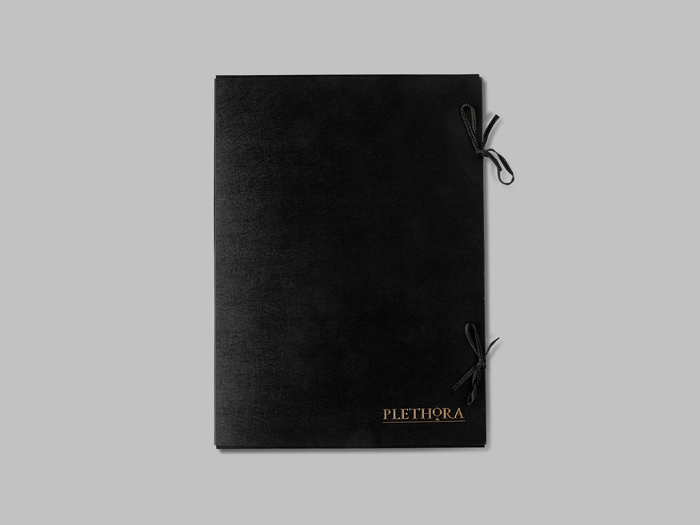 Plethora_Magazine_Issue_5_side_1a